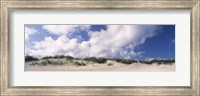 Sand dunes, Cape Hatteras National Seashore, Outer Banks, North Carolina, USA Fine Art Print