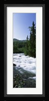 River flowing through a forest, Little Susitna River, Hatcher Pass, Talkeetna Mountains, Alaska, USA Fine Art Print