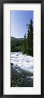 River flowing through a forest, Little Susitna River, Hatcher Pass, Talkeetna Mountains, Alaska, USA Fine Art Print