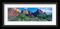 Cottonwood trees and The Watchman, Zion National Park, Utah, USA Fine Art Print