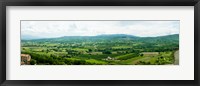 High angle view of a field, Lacoste, Vaucluse, Provence-Alpes-Cote d'Azur, France Fine Art Print