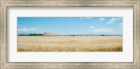 Wheat field with grain elevator near D8, Plateau de Valensole, Alpes-de-Haute-Provence, Provence-Alpes-Cote d'Azur, France Fine Art Print