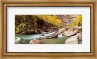 Cottonwood trees and rocks along Virgin River, Zion National Park, Springdale, Utah, USA Fine Art Print