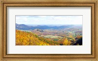Trees on a hill, North Carolina, USA Fine Art Print