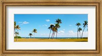 Palm trees on the beach, Lauderdale, Florida, USA Fine Art Print