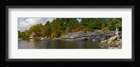Trees at the riverside, Moon River, Bala, Muskoka, Ontario, Canada Fine Art Print