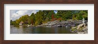 Trees at the riverside, Moon River, Bala, Muskoka, Ontario, Canada Fine Art Print