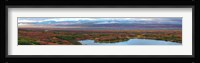 Tundra landscape, Denali National Park, Alaska, USA Fine Art Print