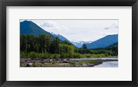 Trees in front of mountains in Quinault Rainforest, Olympic National Park, Washington State, USA Fine Art Print