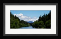 River flowing through a forest, Queets Rainforest, Olympic National Park, Washington State, USA Fine Art Print
