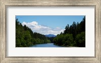 River flowing through a forest, Queets Rainforest, Olympic National Park, Washington State, USA Fine Art Print