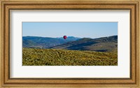 Hot air balloon flying in a valley, Park City, Utah, USA Fine Art Print