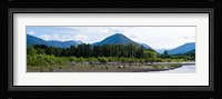 Quinault Rainforest, Olympic National Park, Olympic Peninsula, Washington State Fine Art Print