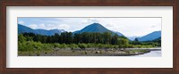 Quinault Rainforest, Olympic National Park, Olympic Peninsula, Washington State Fine Art Print