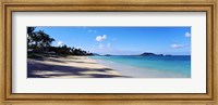 Palm trees on the beach, Lanikai Beach, Oahu, Hawaii, USA Fine Art Print