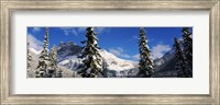 Snow covered trees with mountain range in the background, Emerald Lake, Yoho National Park, Canada Fine Art Print
