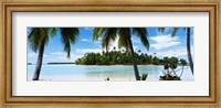 Palm trees on the beach, Rangiroa Atoll, French Polynesia Fine Art Print