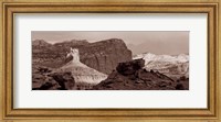 Capitol Reef National Park, Utah (black & white) Fine Art Print