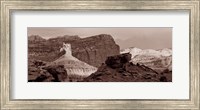 Capitol Reef National Park, Utah (black & white) Fine Art Print