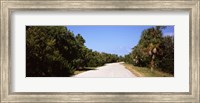 Road passing through Ding Darling National Wildlife Refuge, Sanibel Island, Lee County, Florida, USA Fine Art Print