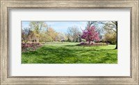 Trees in a Garden, Sherwood Gardens, Baltimore, Maryland Fine Art Print