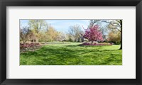 Trees in a Garden, Sherwood Gardens, Baltimore, Maryland Fine Art Print