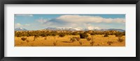 High desert plains landscape with snowcapped Sangre de Cristo Mountains in the background, New Mexico Fine Art Print