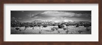 High desert plains landscape with snowcapped Sangre de Cristo Mountains in the background, New Mexico (black and white) Fine Art Print