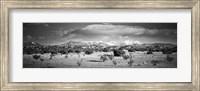 High desert plains landscape with snowcapped Sangre de Cristo Mountains in the background, New Mexico (black and white) Fine Art Print