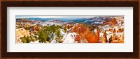 High angle view of rock formations, Boat Mesa, Bryce Canyon National Park, Utah, USA Fine Art Print