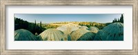 Domes at the Church of All Nations, Jerusalem, Israel Fine Art Print