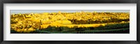 High angle view of a city, Jerusalem, Israel Fine Art Print