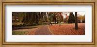 Park at banks of the Avon River, Christchurch, South Island, New Zealand Fine Art Print
