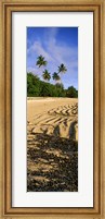 Palm trees on the beach, Rarotonga, Cook Islands, New Zealand Fine Art Print