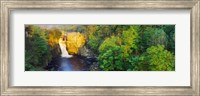 Waterfall in a forest, High Force, River Tees, Teesdale, County Durham, England Fine Art Print