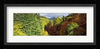 Canyon at Killiecrankie, River Garry, Pitlochry, Perth And Kinross, Scotland Fine Art Print