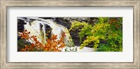 Rogie Falls, Black Water, Garve, Ross-Shire, Scotland Fine Art Print