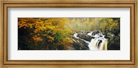 Waterfall in autumn, Rogie Falls, Black Water, Garve, Ross-Shire, Scotland Fine Art Print
