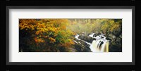Waterfall in autumn, Rogie Falls, Black Water, Garve, Ross-Shire, Scotland Fine Art Print