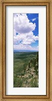 Clouds over a landscape, Tucson Mountain Park, Tucson, Arizona, USA Fine Art Print
