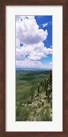 Clouds over a landscape, Tucson Mountain Park, Tucson, Arizona, USA Fine Art Print