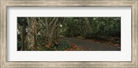 Path passing through a forest, Maui, Hawaii, USA Fine Art Print