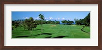 Trees , Kaanapali Golf Course, Maui, Hawaii, USA Fine Art Print