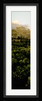 Acropolis of Athens at dusk, Athens, Greece Fine Art Print