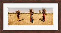 Women carrying firewood on their heads, India Fine Art Print