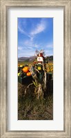 Scarecrow in Pumpkin Patch, Half Moon Bay, California (vertical) Fine Art Print