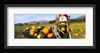 Scarecrow in Pumpkin Patch, Half Moon Bay, California (horizontal) Fine Art Print