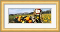 Scarecrow in Pumpkin Patch, Half Moon Bay, California (horizontal) Fine Art Print