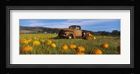 Old Rusty Truck in Pumpkin Patch, Half Moon Bay, California, USA Fine Art Print