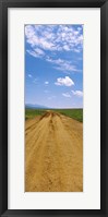 Dirt road passing through San Rafael Valley, Arizona Fine Art Print